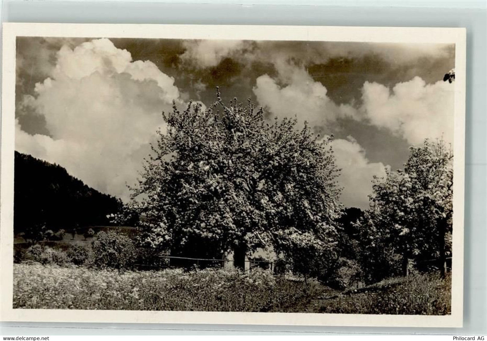 3600 Thun - 10311927