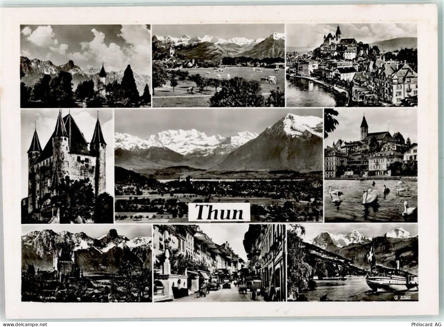 3600 Thun - 10568202