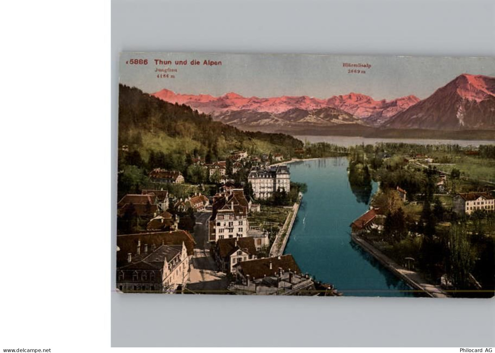 3600 Thun - 50331759