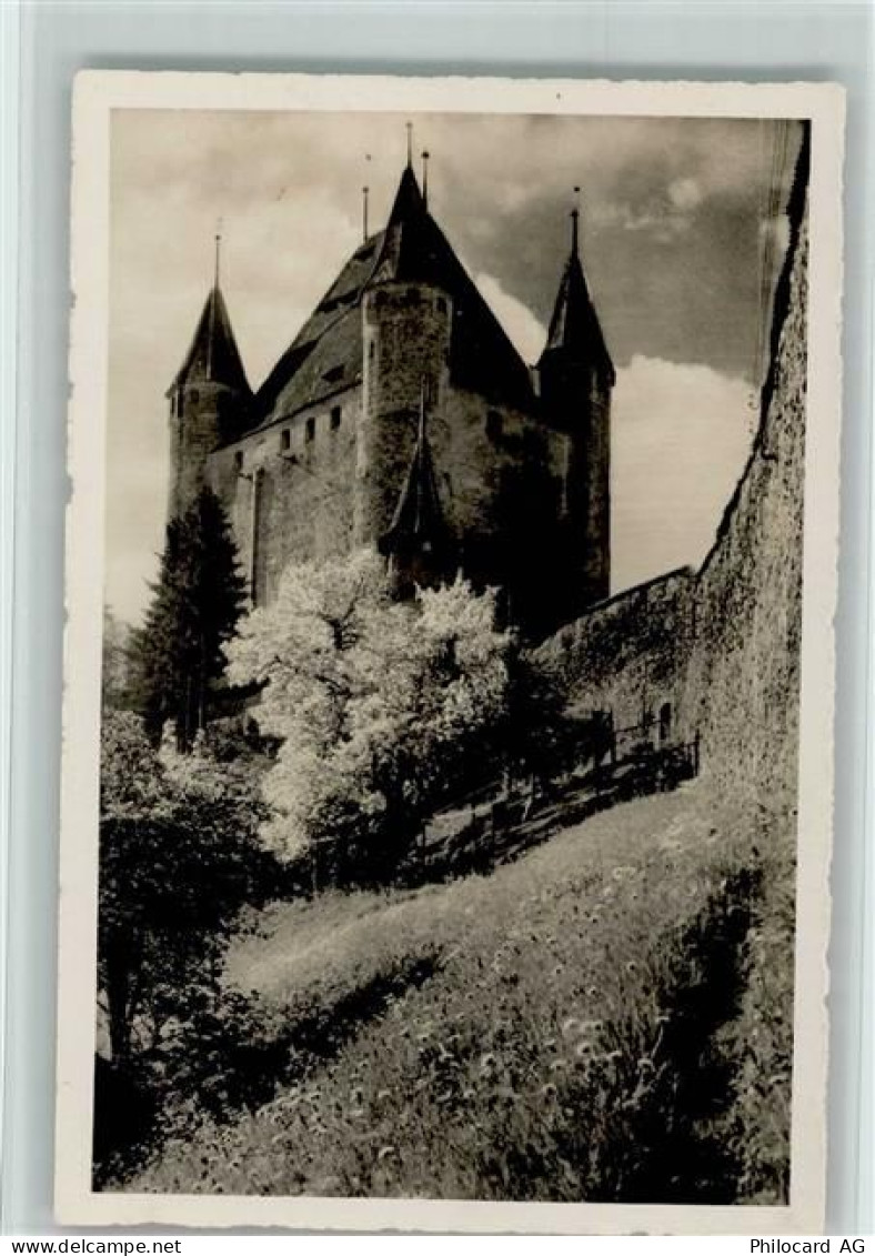 3600 Thun - Frühling am Schloss Thun - 10160237