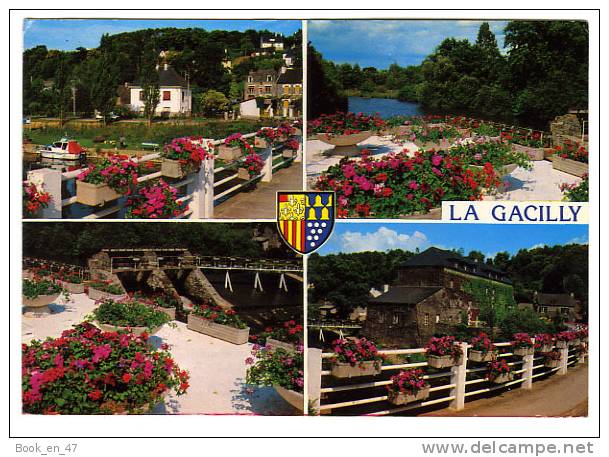 {36007} 56 Morbihan La Gacilly , multivues