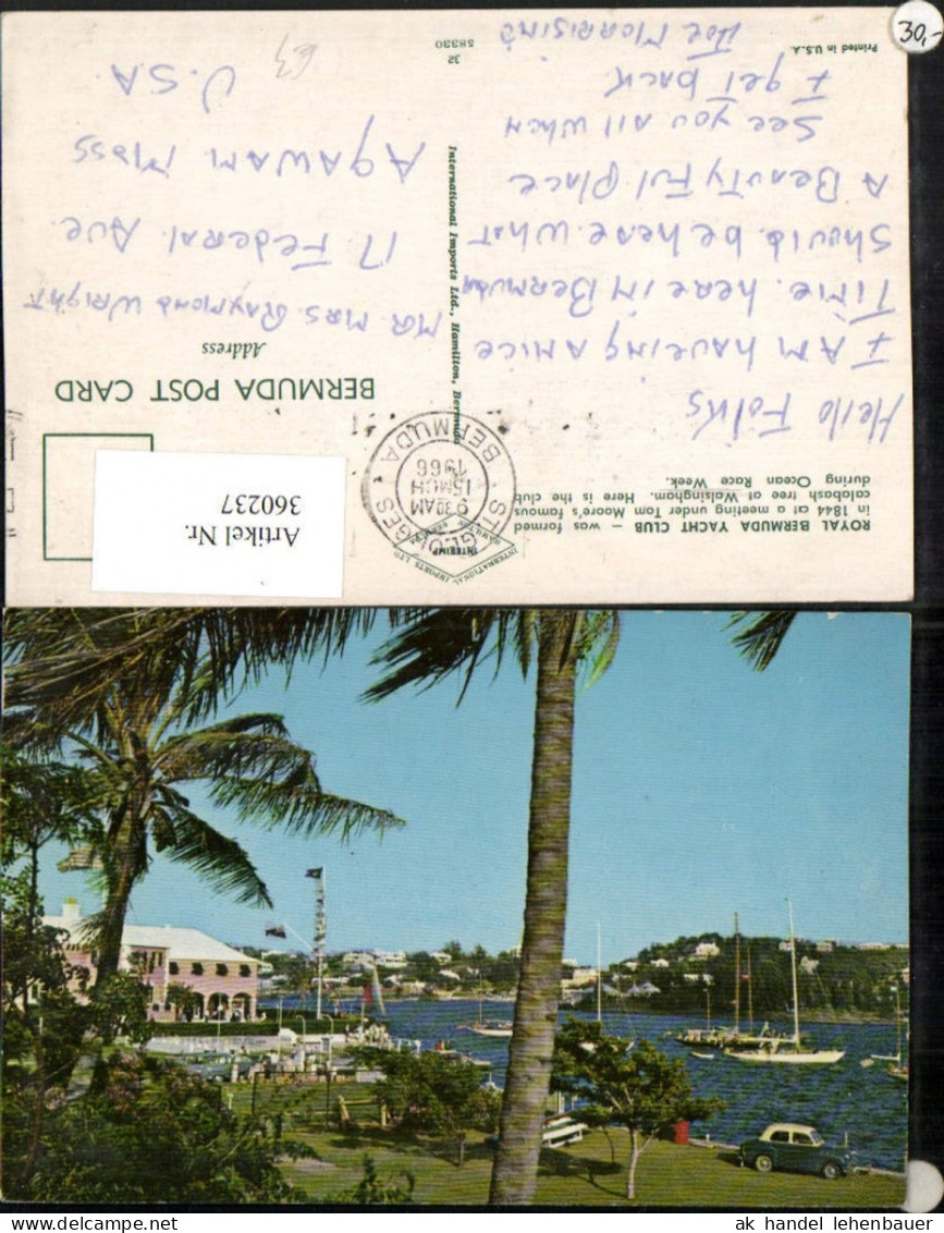 360237,Bermuda Walsingham Royal Bermuda Yacht Cllub Palmen