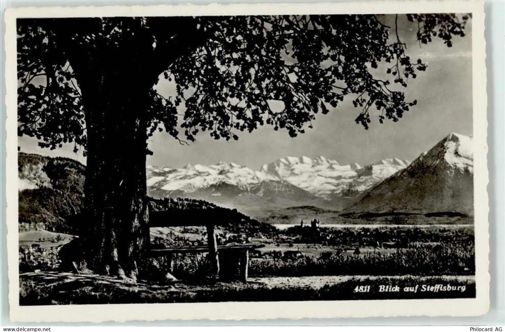 3612 Steffisburg Foto AK Blick auf Steffisburg - 51674606