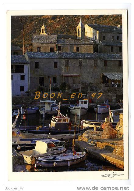 {36181} 20 2B Haute Corse Le Cap Corse , Centuri Port ; bateaux.  " en baisse "