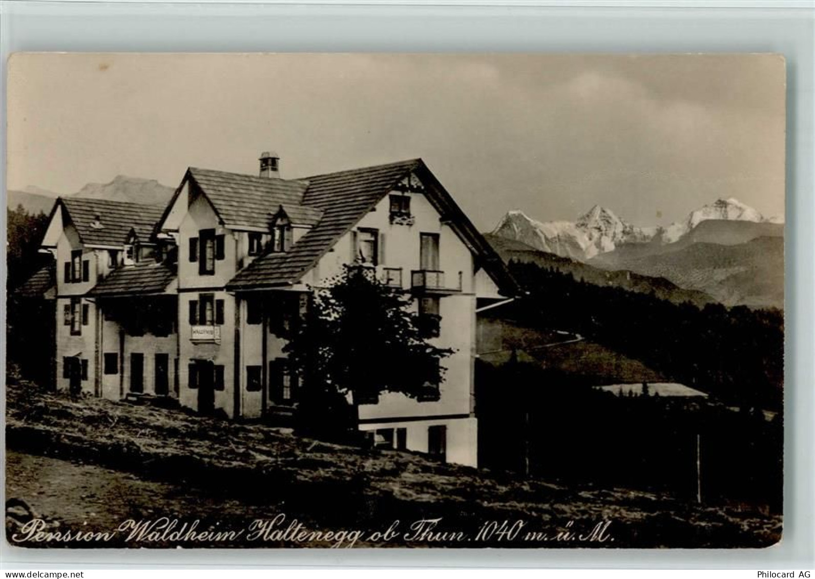 3625 Haltenegg - Pension Waldheim - 13113919