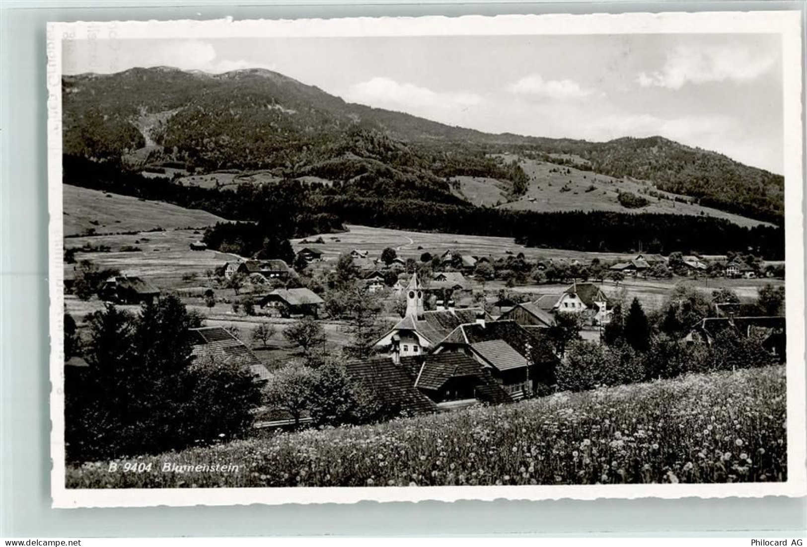 3638 Blumenstein - 13223245