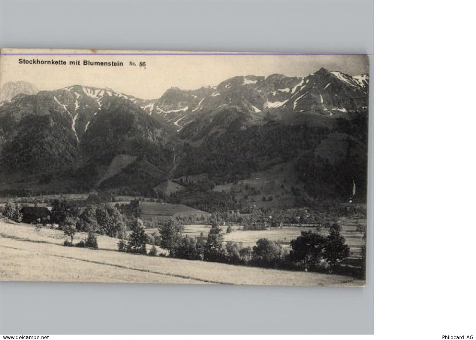 3638 Blumenstein - 50331405