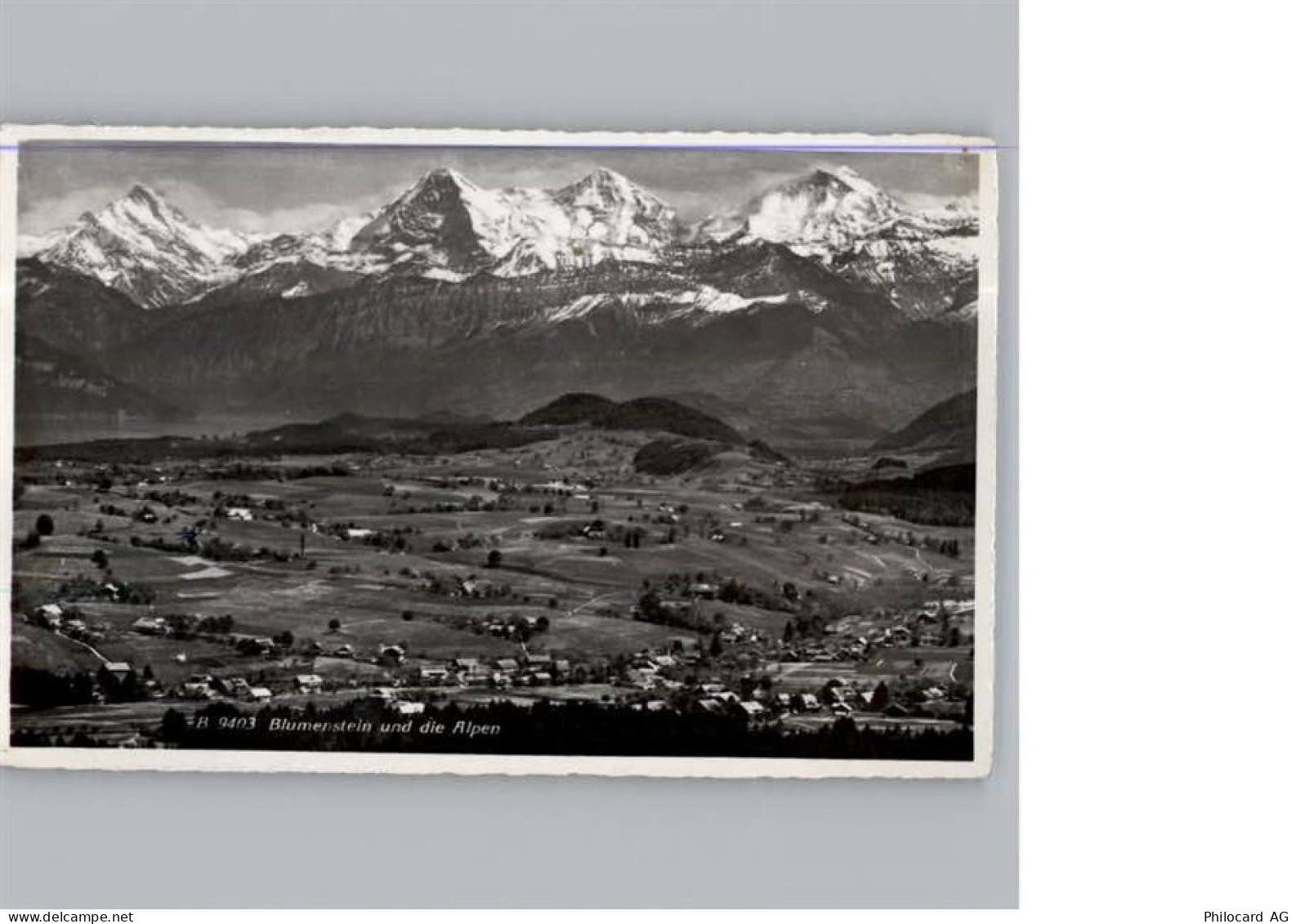 3638 Blumenstein - 50331457