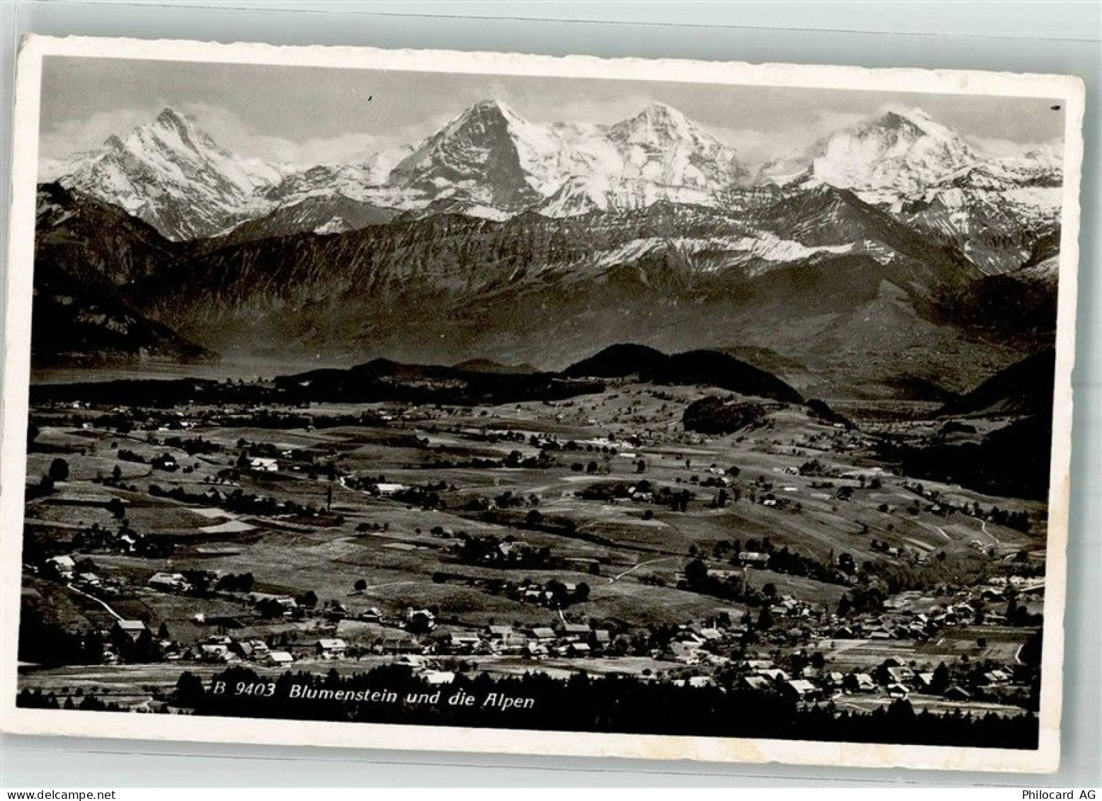 3638 Blumenstein Foto AK Feldpost Nr. 39 - 38210162