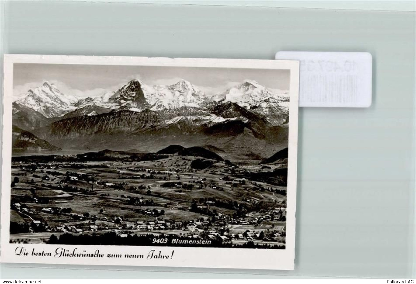 3638 Blumenstein FOTO KEINE AK Neujahr Foto 10cm x 7cm, rückseitig Hafts... - 10497350