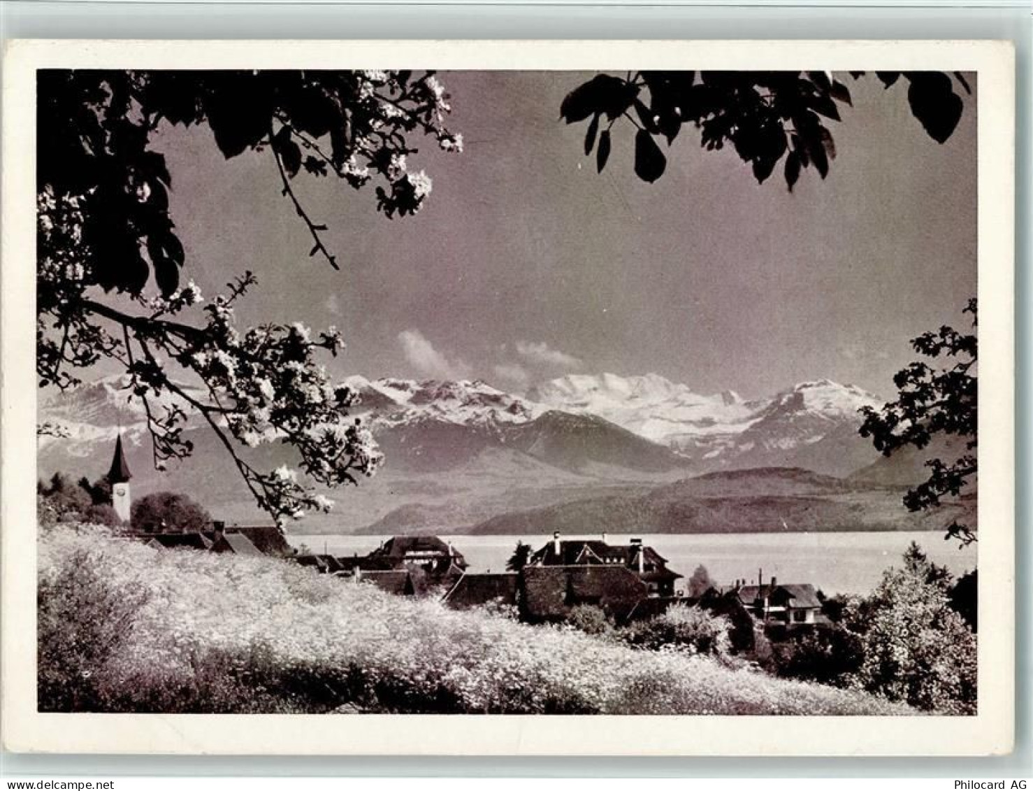 3652 Hilterfingen - Hotel Seehof mit Hilterfingen - 10156558