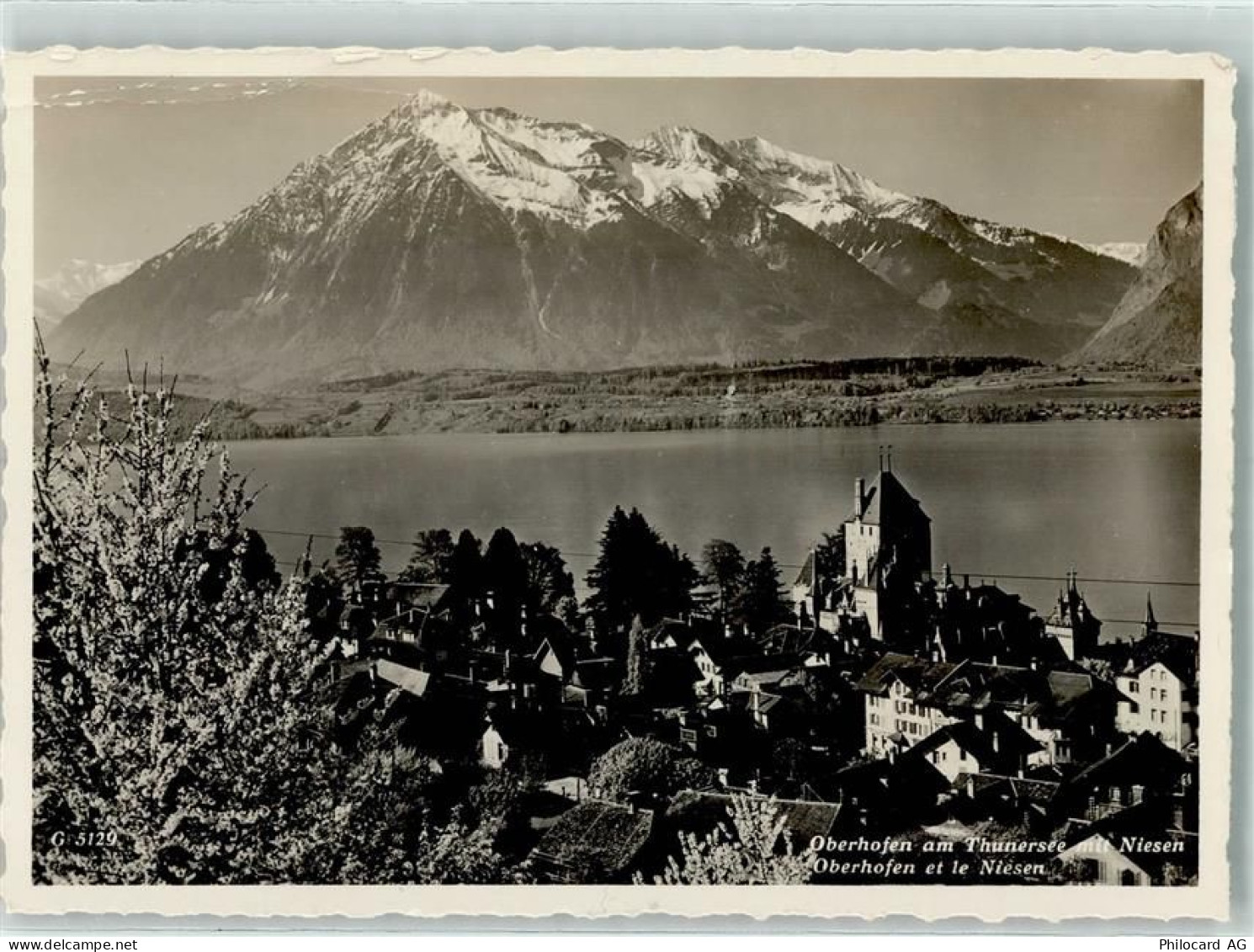 3653 Oberhofen am Thunersee - 10312444