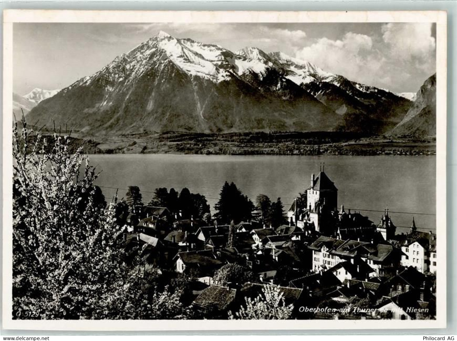 3653 Oberhofen am Thunersee - 10312450