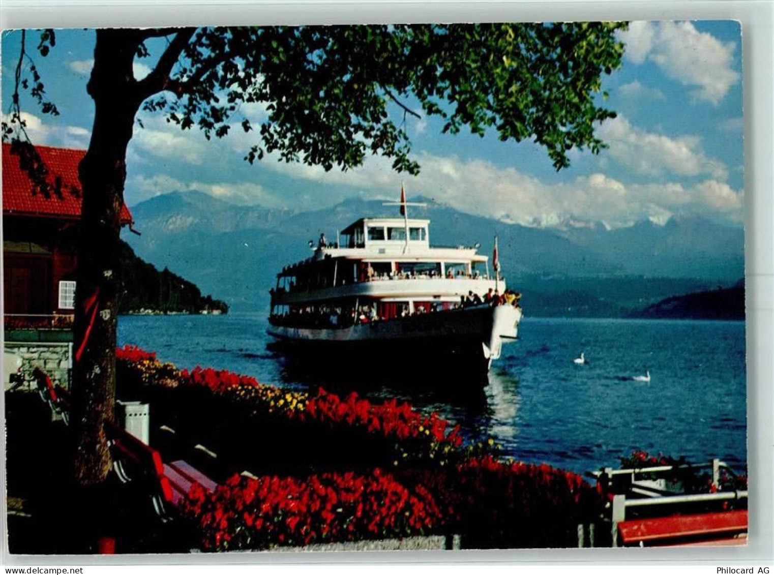 3653 Oberhofen am Thunersee - Motorschiff Blümlisalp Thunersee - 10391954