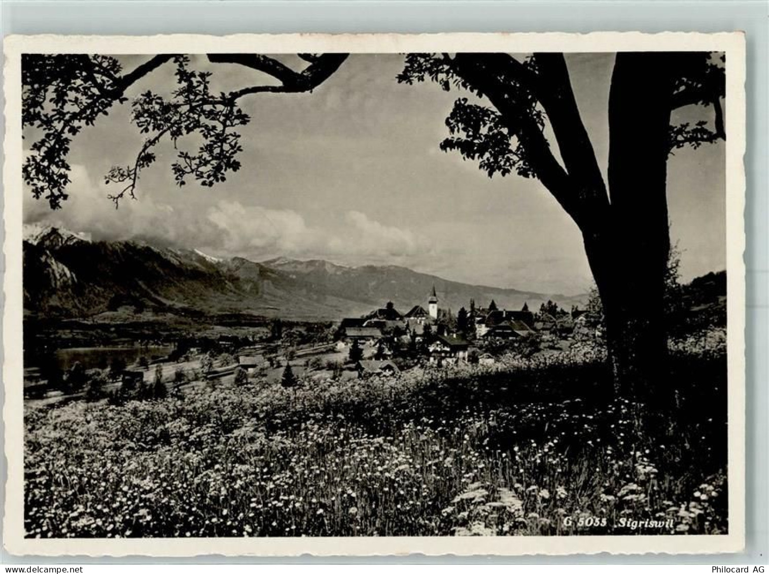 3655 Sigriswil - 10395581