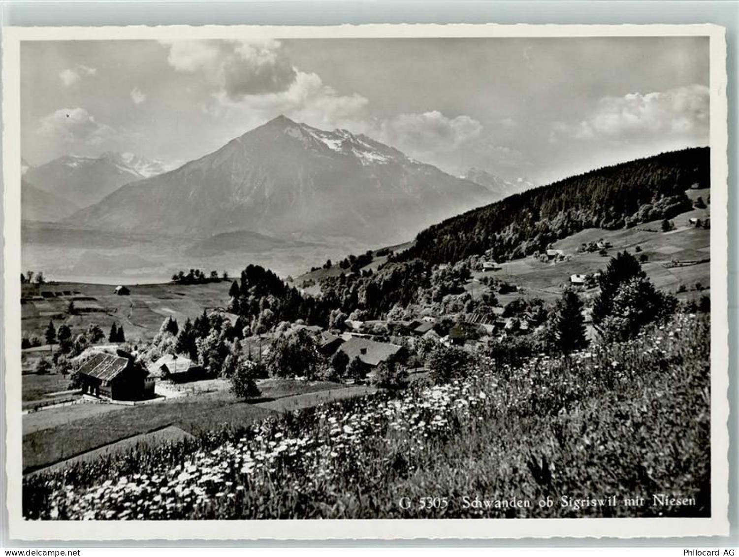 3657 Schwanden Sigriswil Gebrauchsspuren Niesen - 10397896