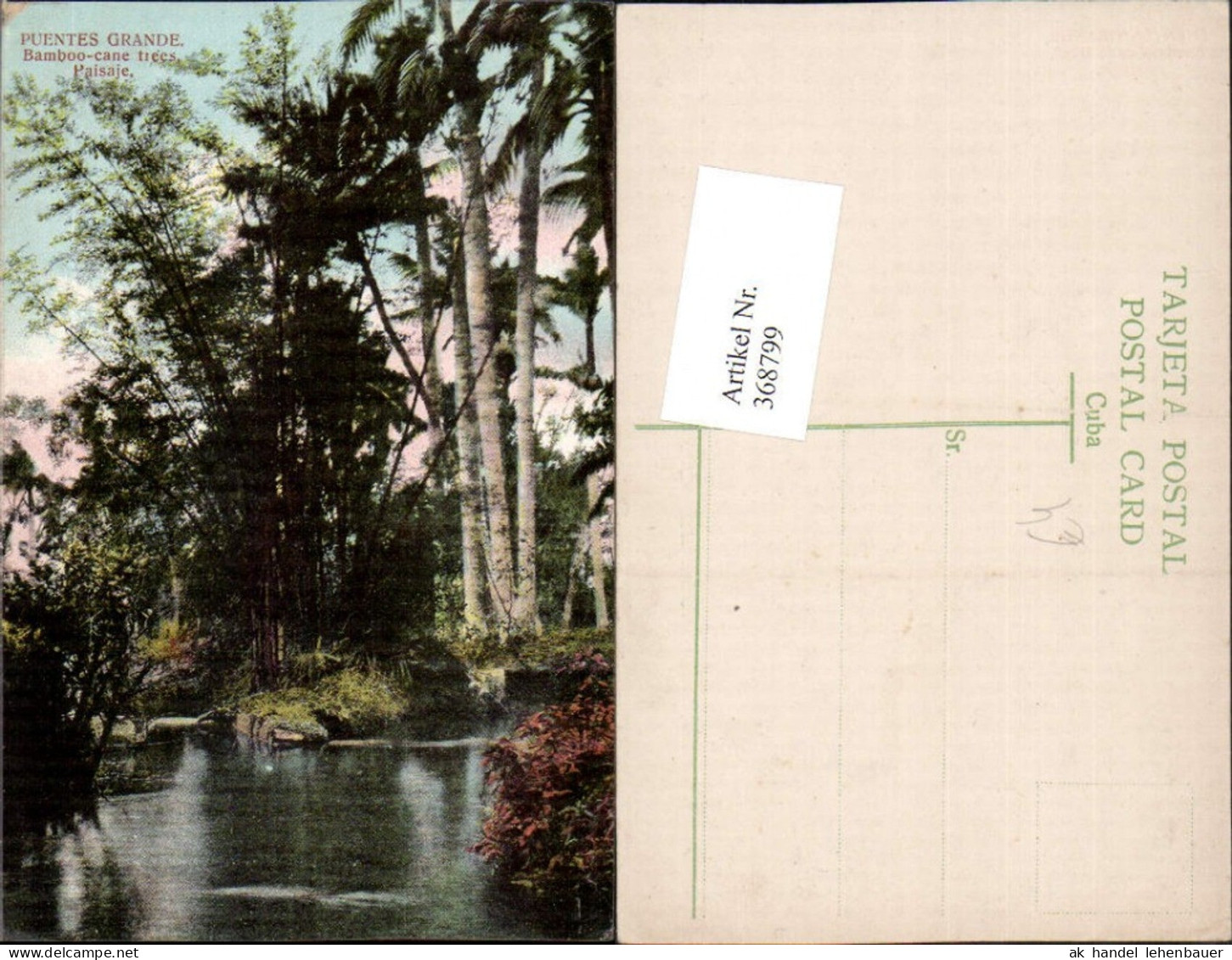 368799,Kuba Cuba Havana Puentes Grande Bamboo-cane trees Paisaje Bambus