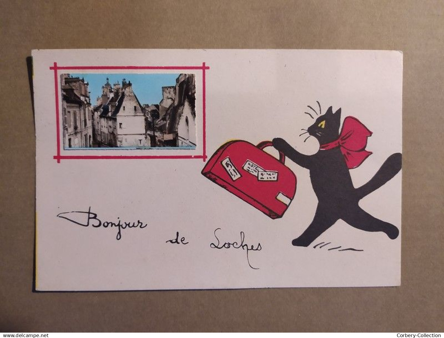 37. LOCHES. CPA avec Photo Bonjour de Loches Illustration Chat