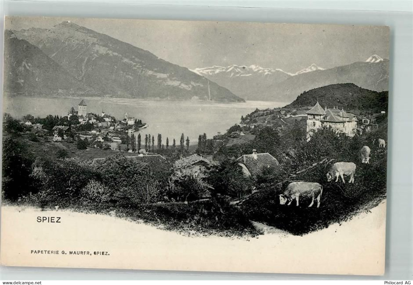 3700 Spiez - 10584610