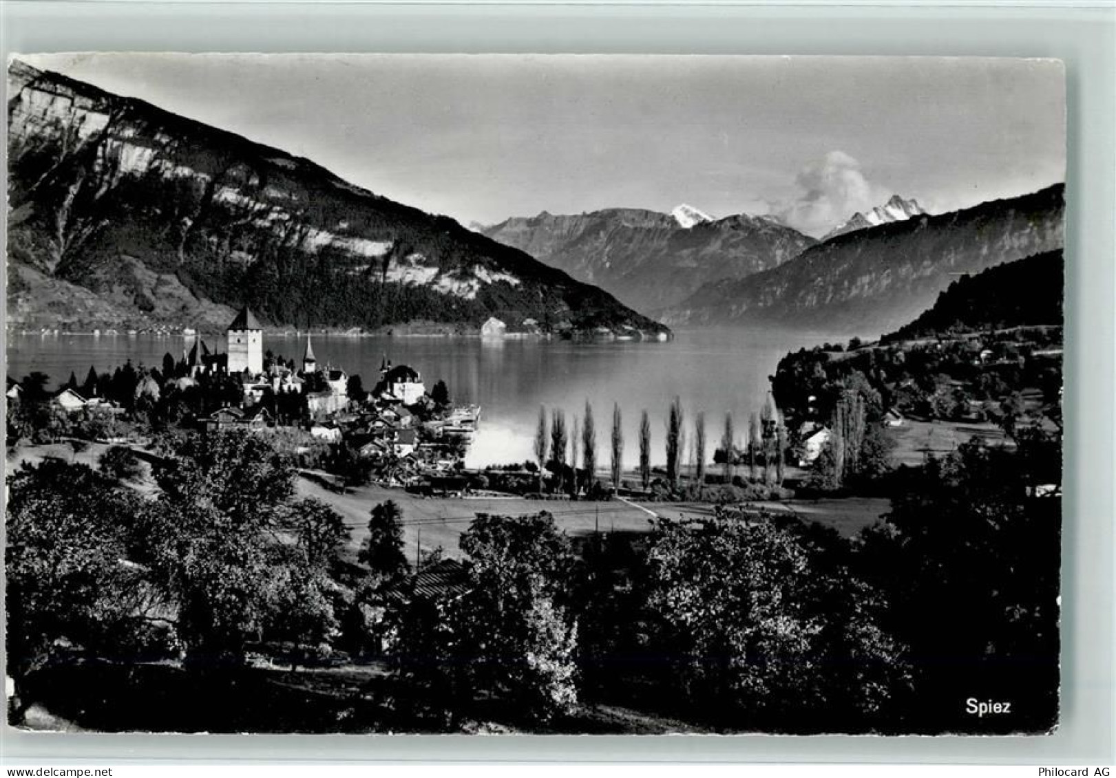 3700 Spiez - Blick nach Spiez - 10156741