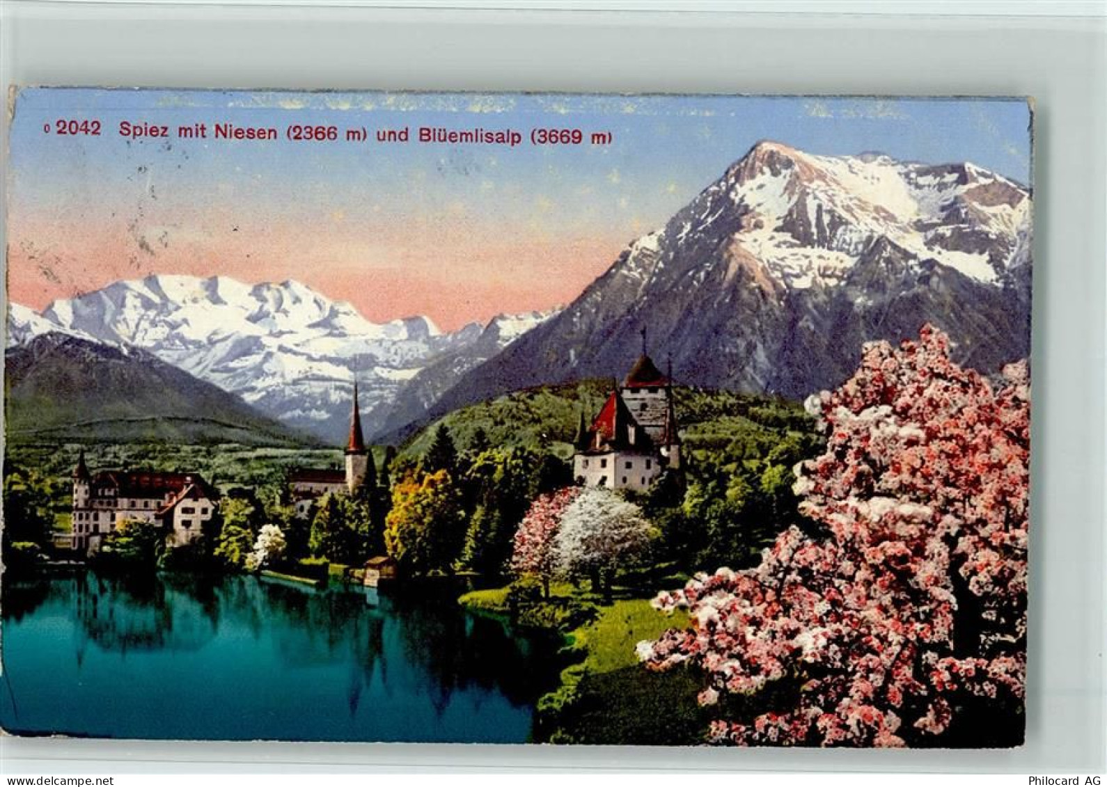 3700 Spiez - Spiez mit Niesen und Blümlisalp Baumblüte - 10156722