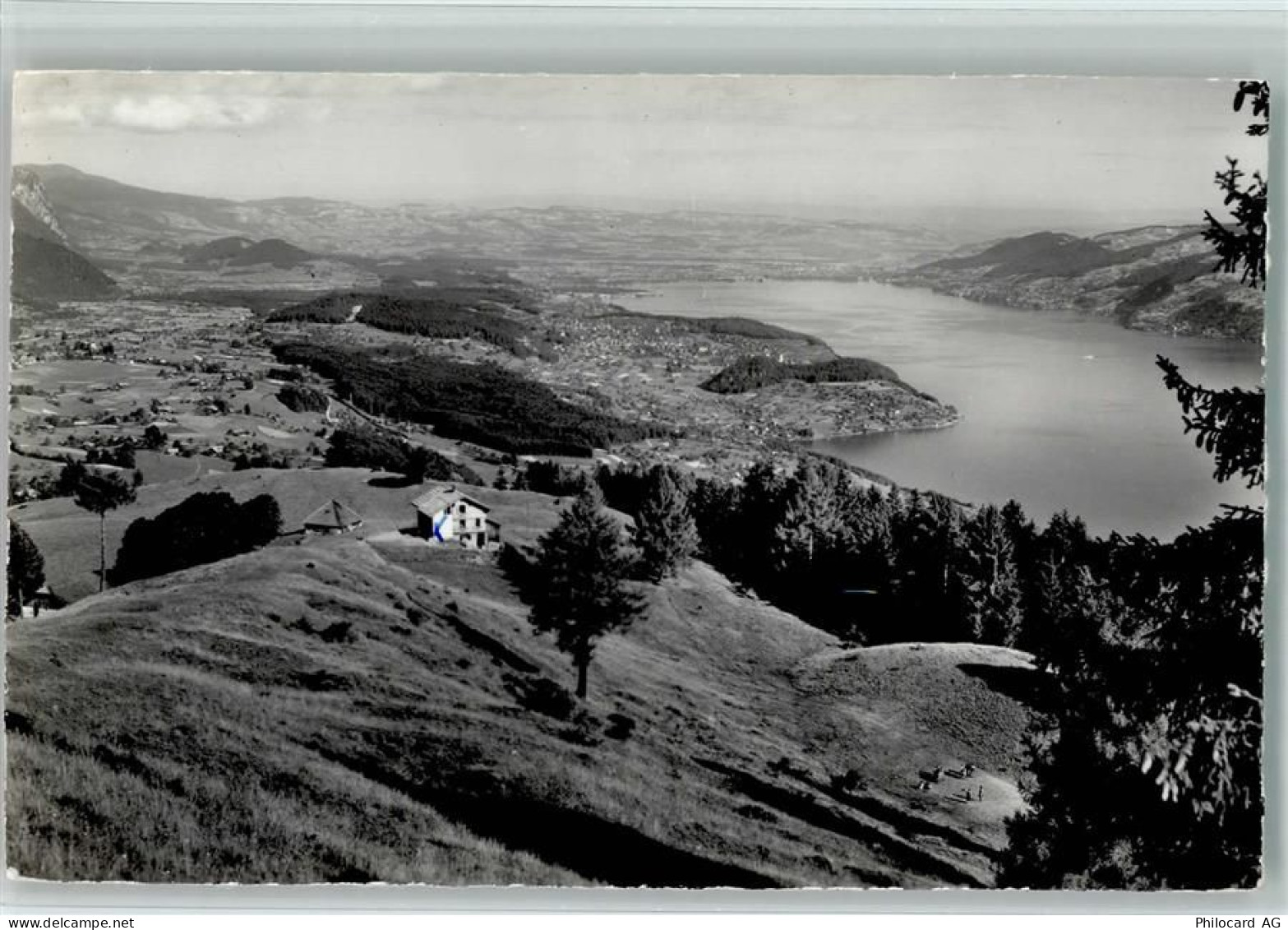 3703 Aeschi b. Spiez - Aeschi und Thunersee - 10159941