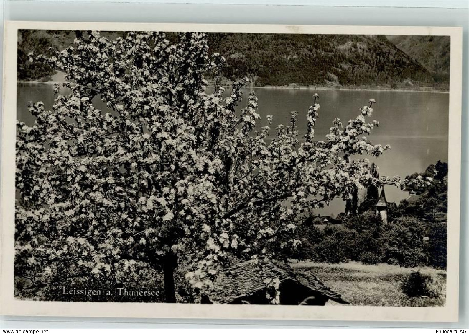 3706 Leissigen - 10304444