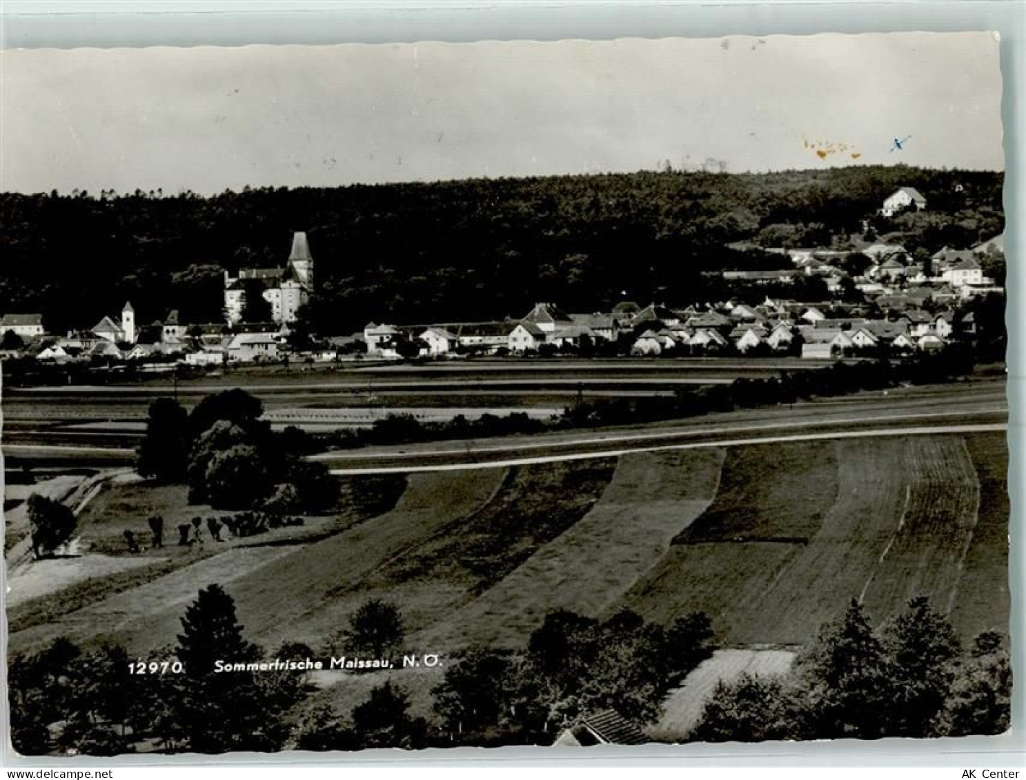 3712 Maissau - 10405686