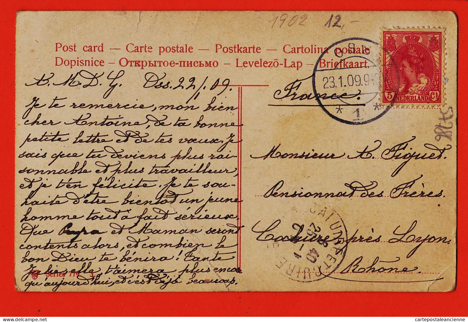 37326 /  OSS Noord-Brabant 1909 Herder kudde schapen à FIGUEL Pensionnat Frères Caluire Série 779-3 Nederland Pays-Bas