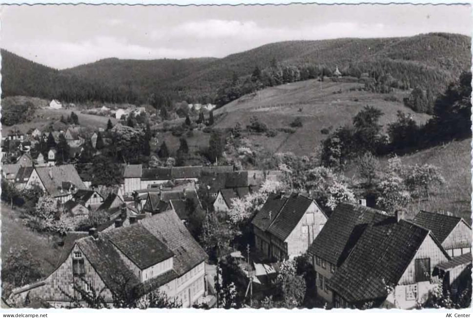37539 W3362 Bad Grund um 1959 - Bad Grund, Ansicht, Blick auf den Eichel... - 20040708
