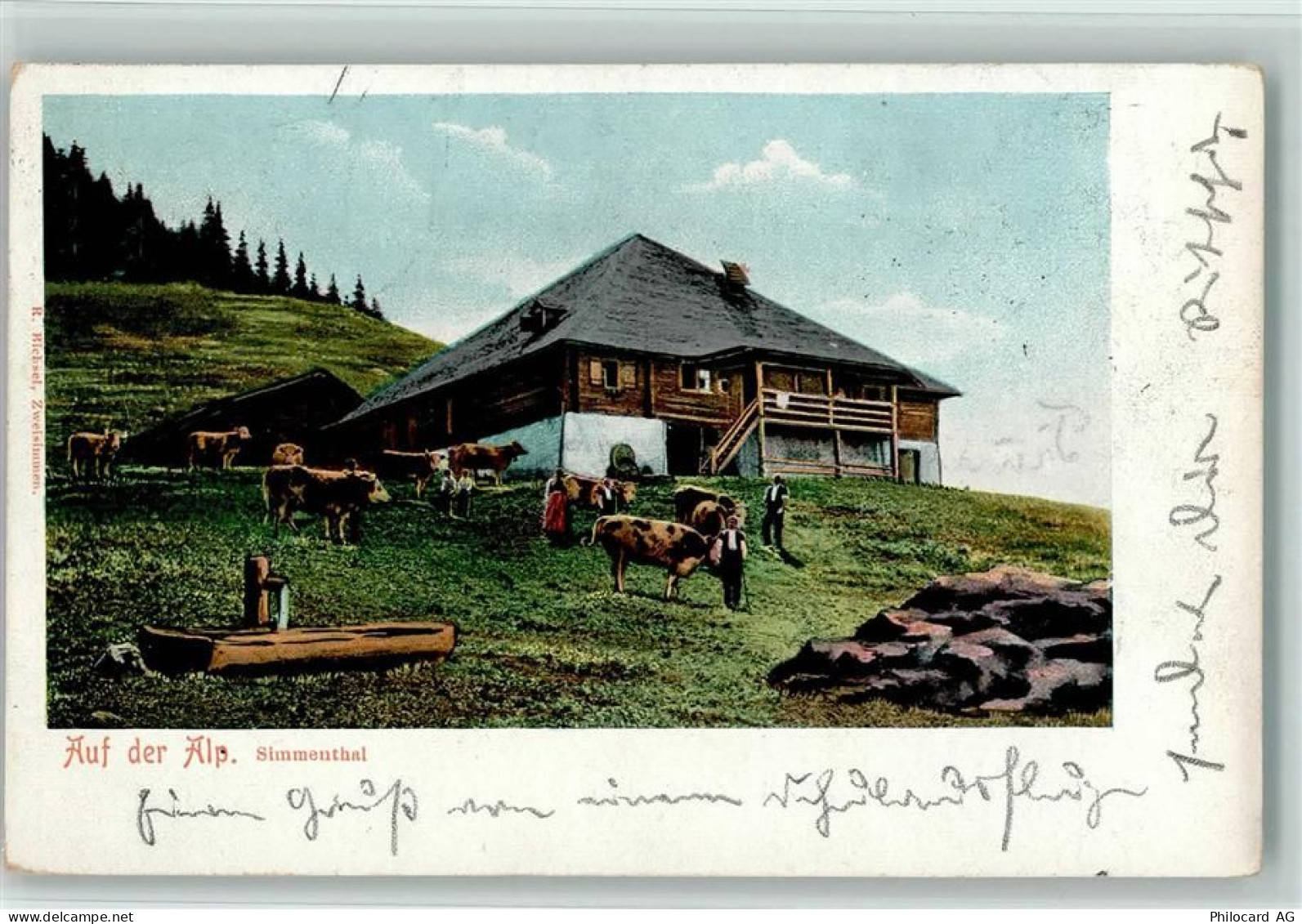 3762 Erlenbach im Simmental - Auf der Alp Kühe Simmenthal - 13113668