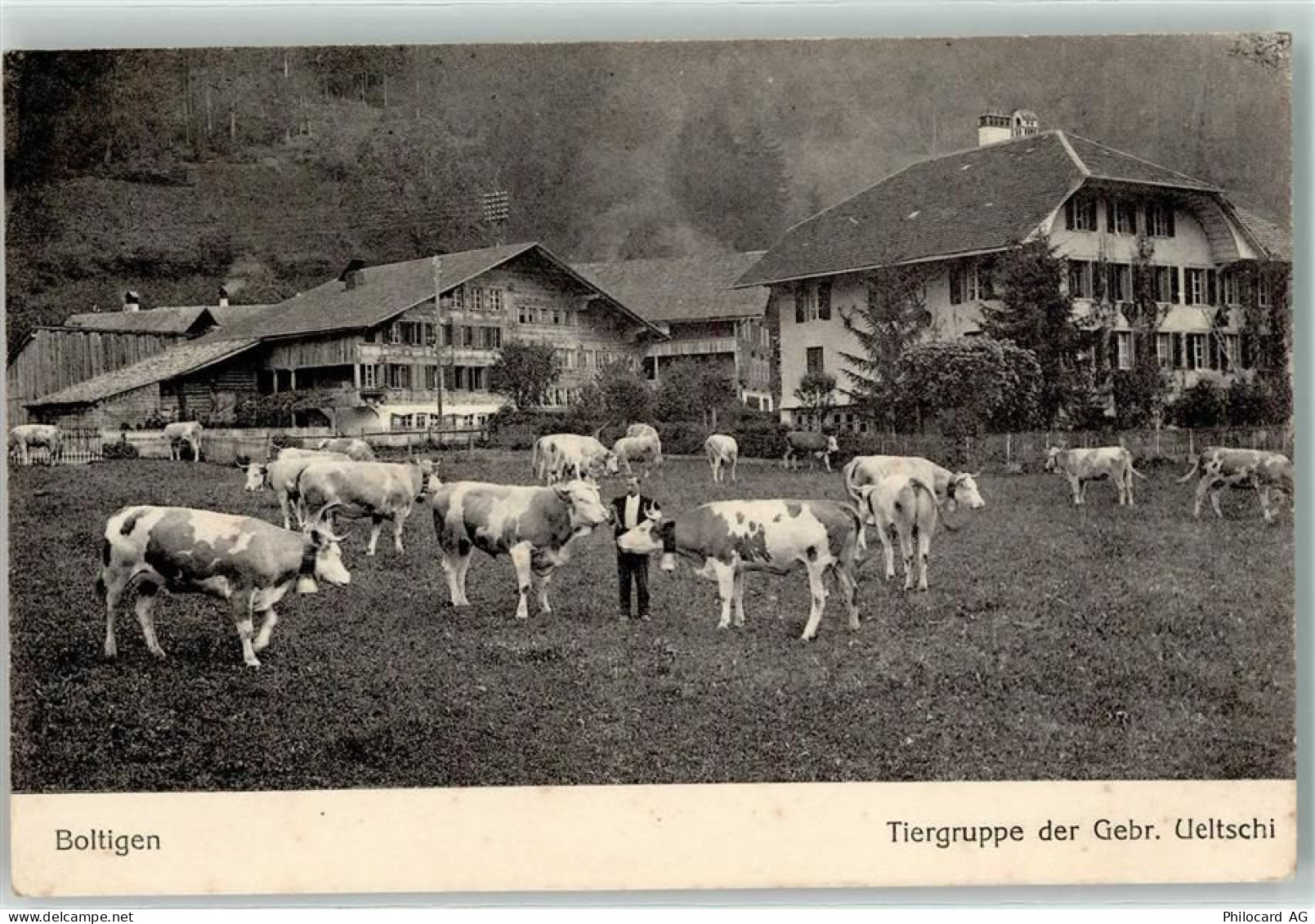 3766 Boltigen - Rindvieh Tiergruppe der Gebr. Ueltschi - 13251069