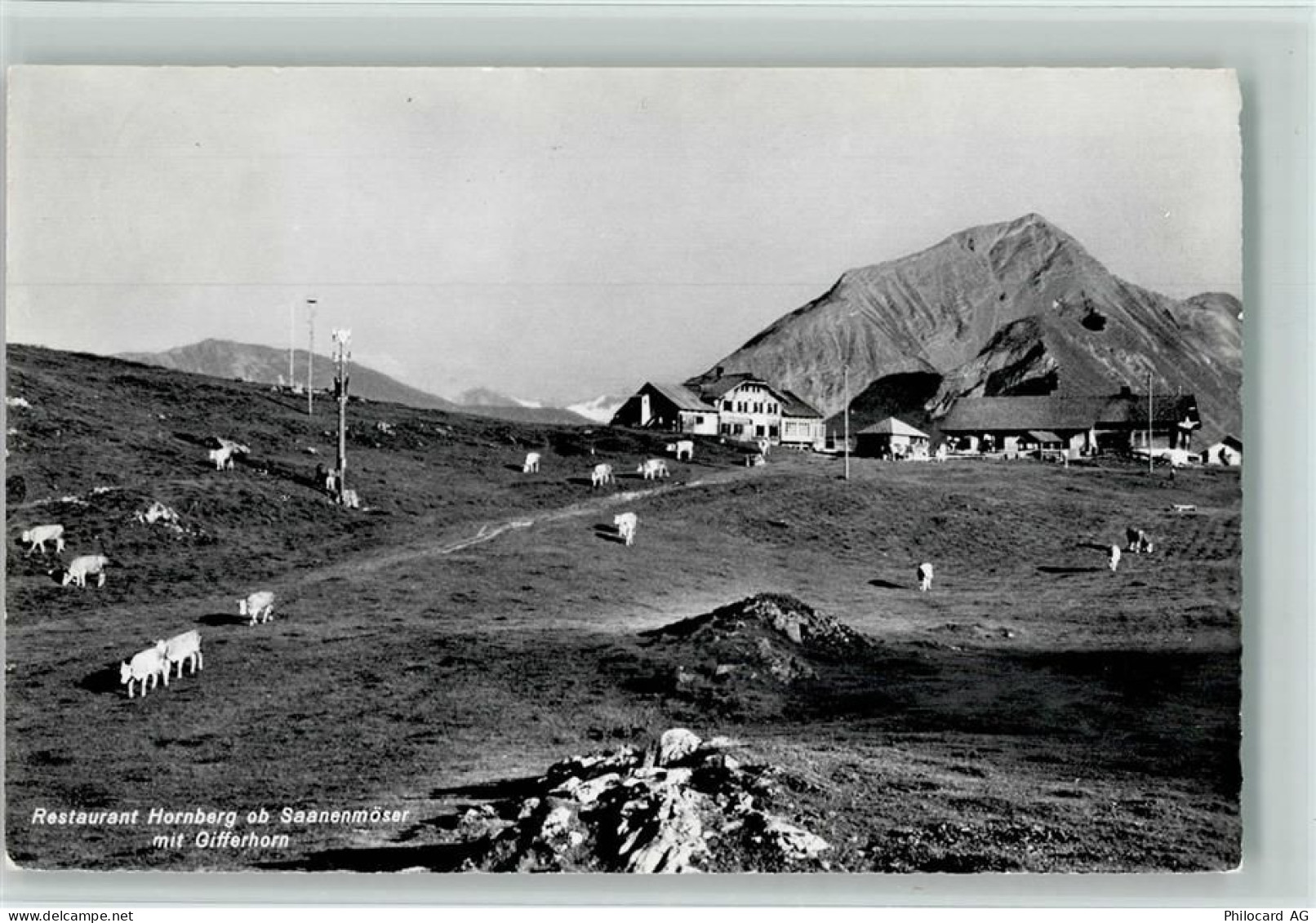 3777 Saanenmöser - Hornberg Restaurant Hornberg - 10161439