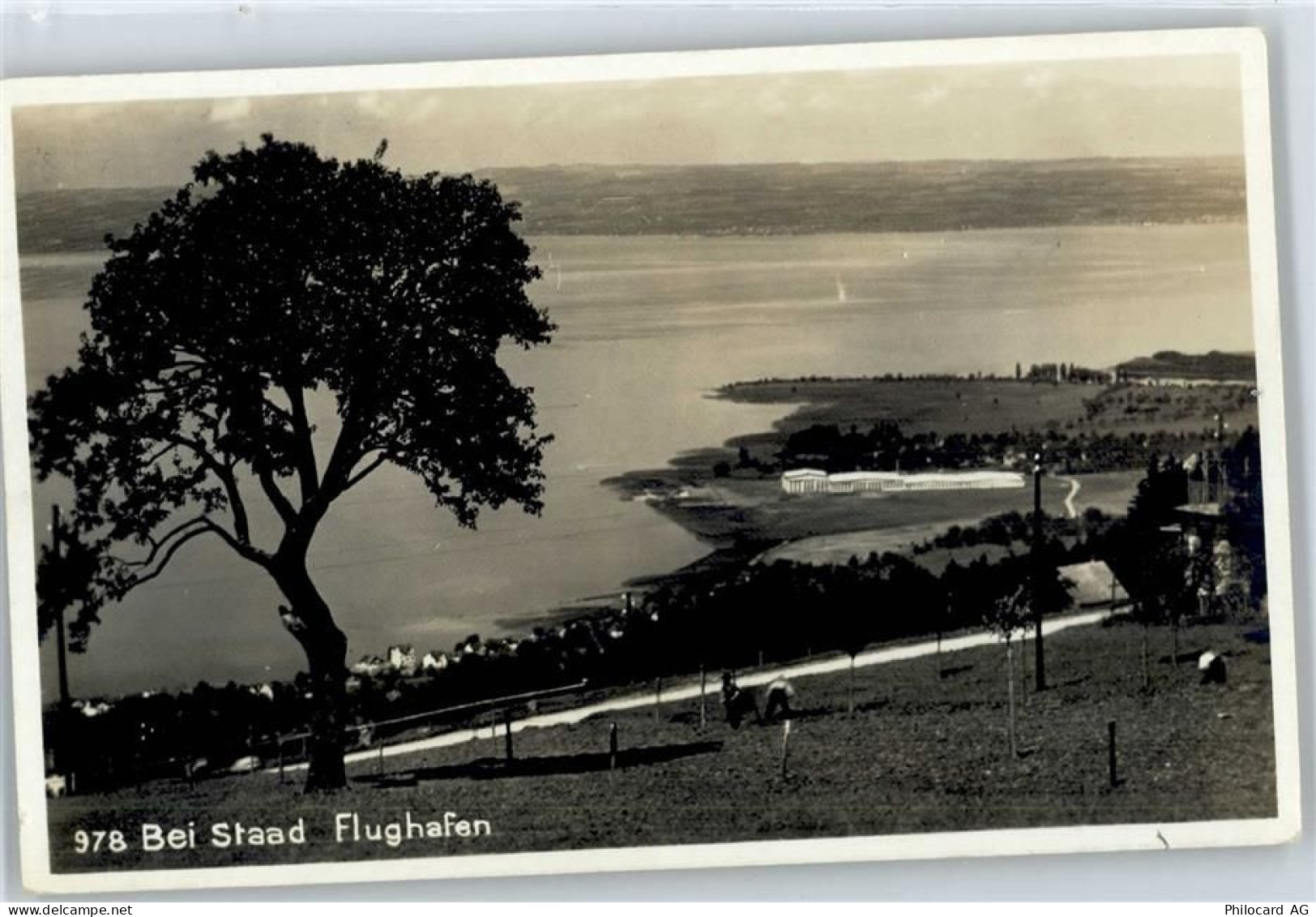 3780 Gstaad - Flughafen - 50776730