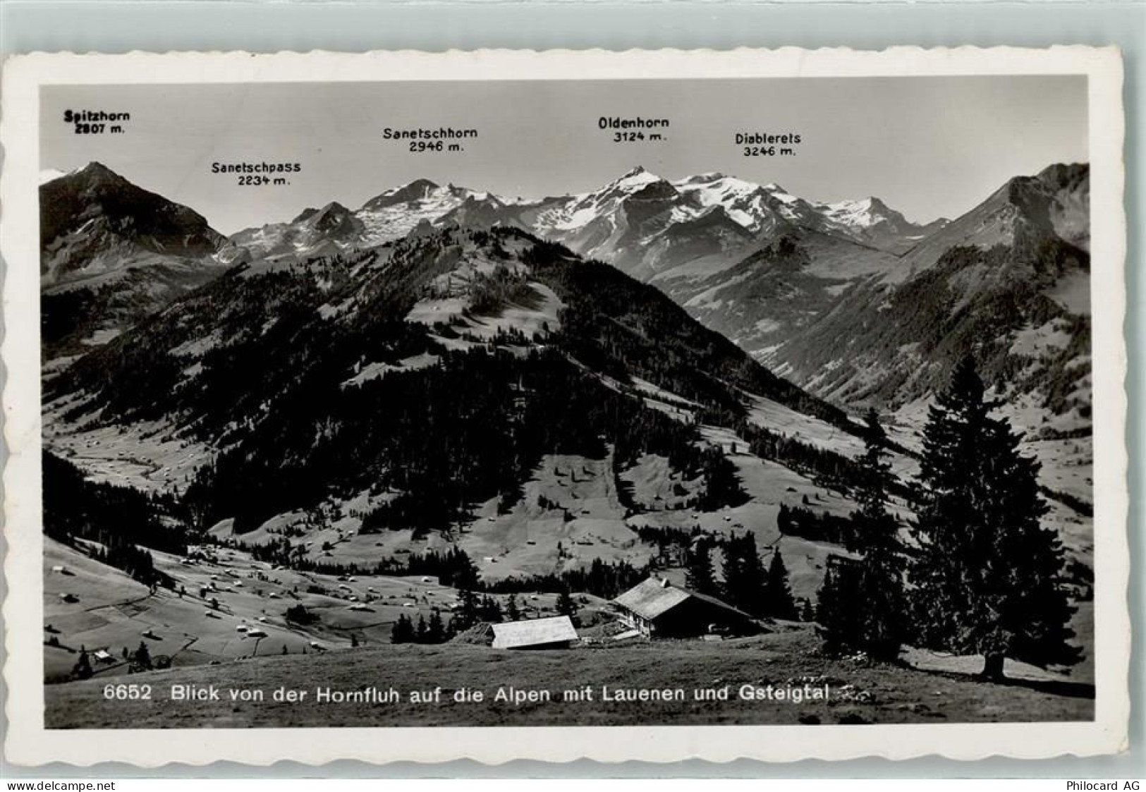 3782 Lauenen b. Gstaad - Gsteigtal Oldenhorn - 10499017