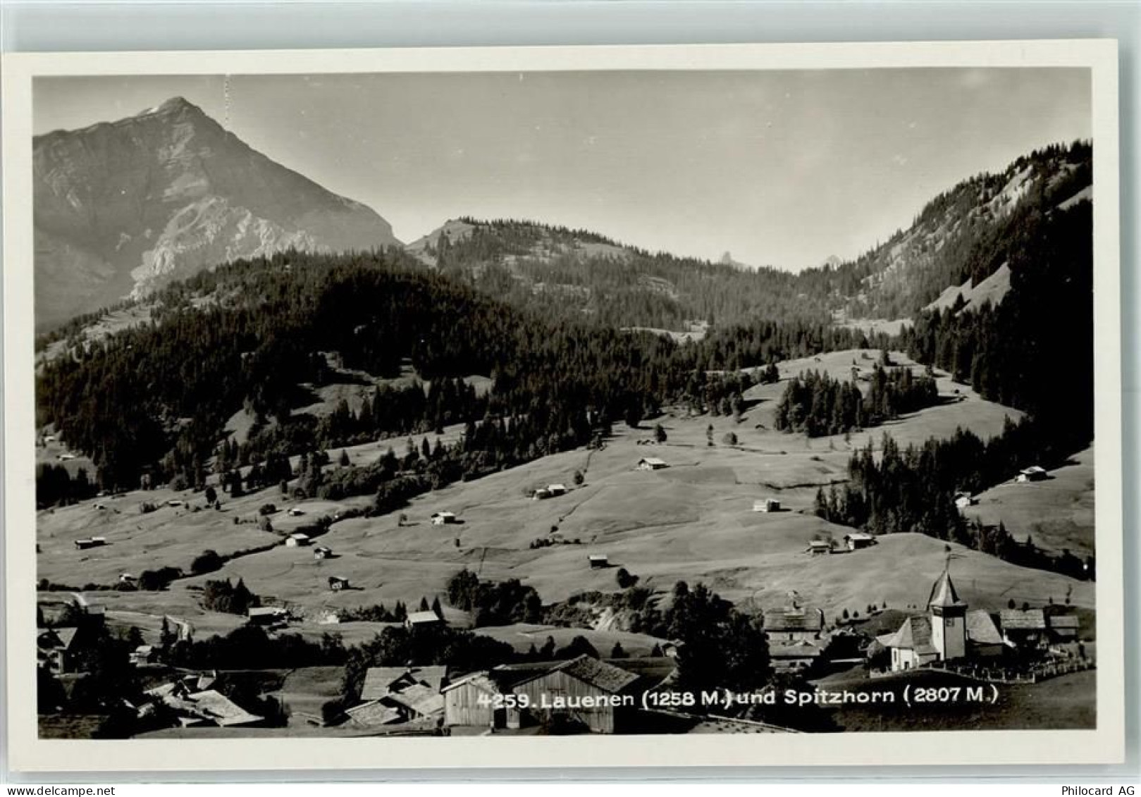 3782 Lauenen b. Gstaad - Spitzhorn - 10309139