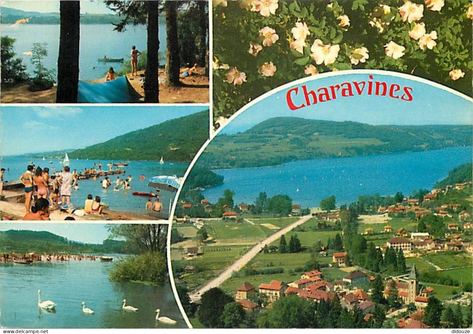 38 - Charavines - Multivues - Le Lac de Paladru - Fleurs - CPM - Voir Scans Recto-Verso