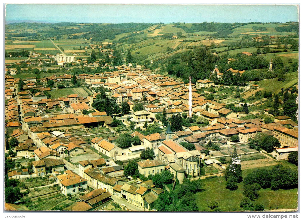38 SAINT JEAN DE BOURNAY - vue générale.