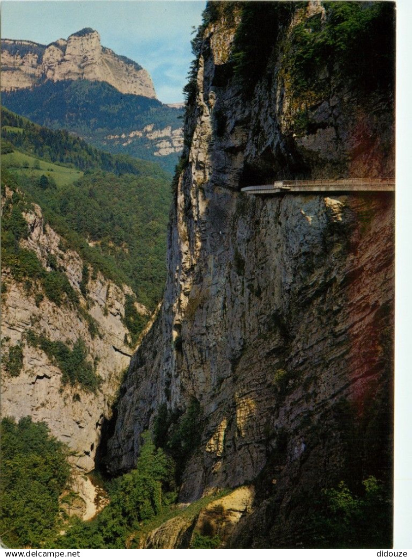 38 - Saint Pierre d'Entremont - Gorges du Guiers vif - Le Pas du Frou - CPM - Carte Neuve - Voir Scans Recto-Verso