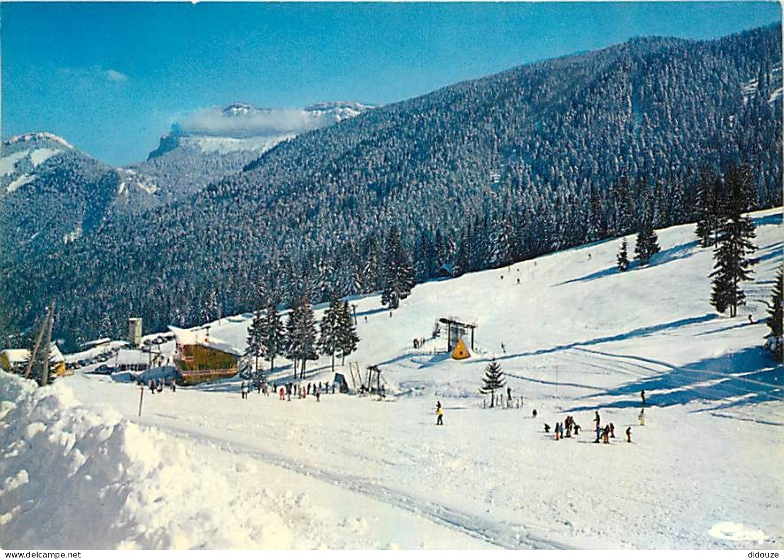 38 - Saint Pierre d'Entremont - Les pistes de skis du Planolet. Au fond, les Lances de Malissard - Hiver - Neige - CPM -