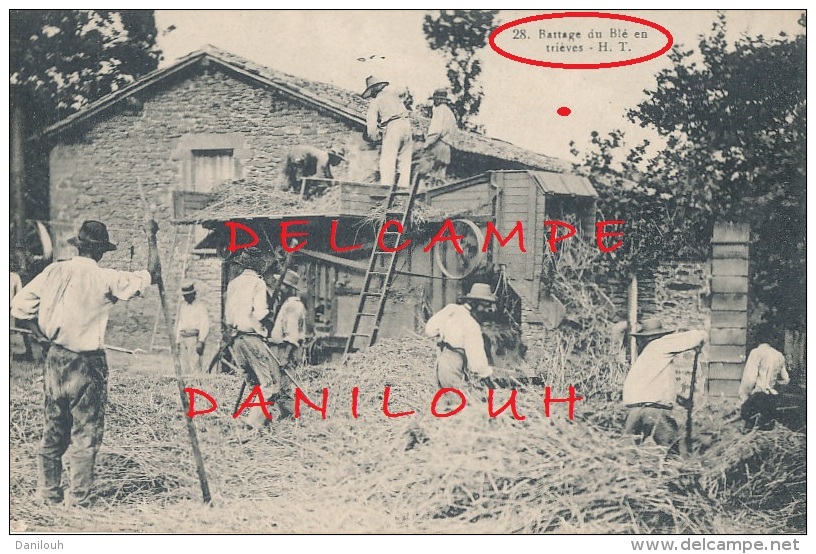 38 // SAINT SEBASTIEN / BATTAGE DU BLEN EN TRIEVES    H.T. 28 / ANIMEE /  # AGRICULTURE / # MOISSON
