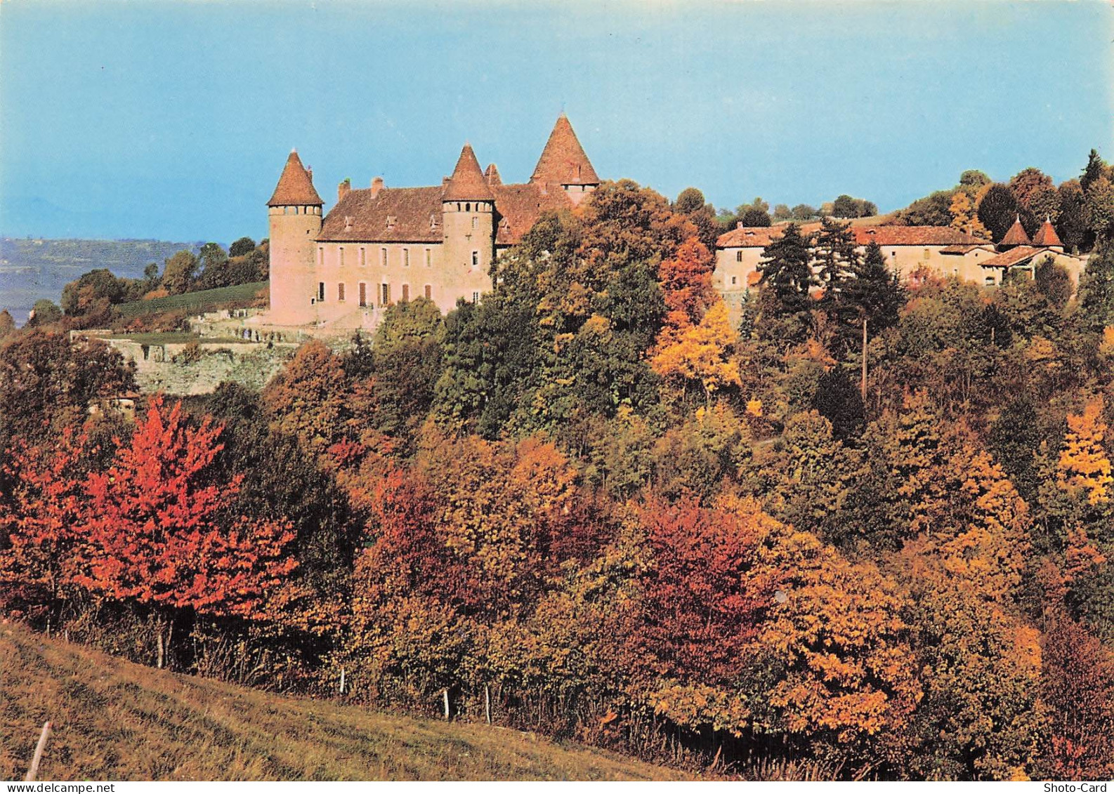 38 VIRIEU CHATEAU DE VIRIEU