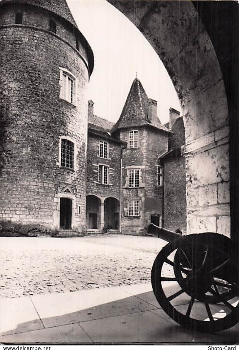 38 VIRIEU CHATEAU DE VIRIEU