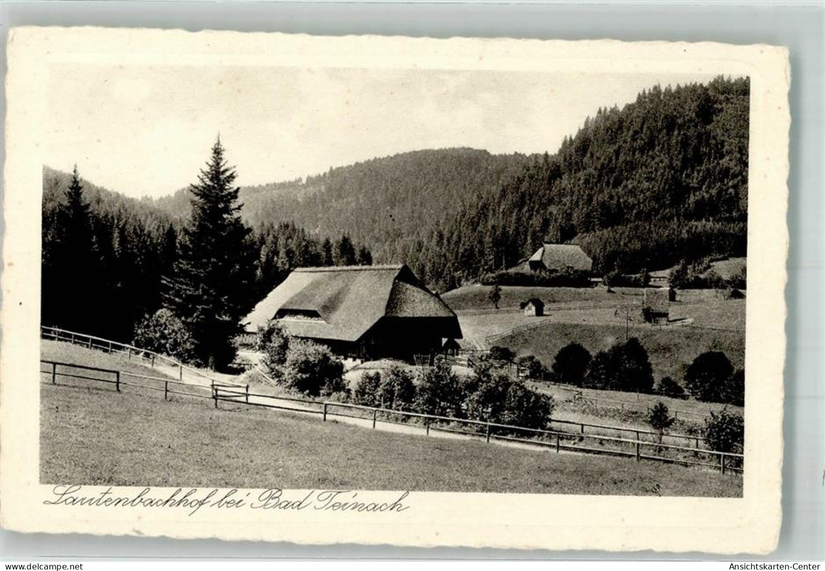 38003069 - Bad Teinach