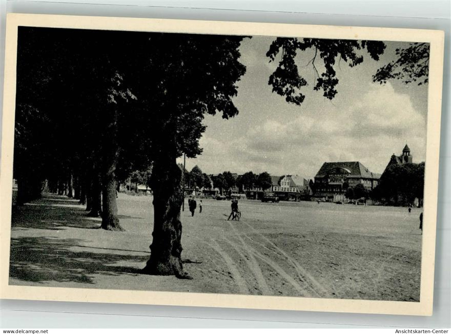 38003092 - Heide , Holst