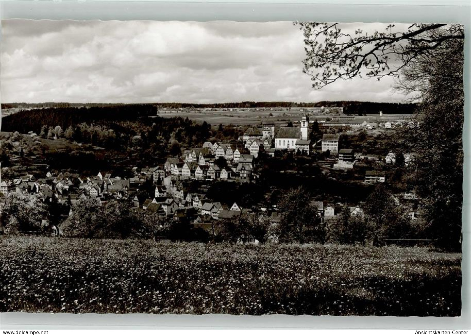 38008887 - Altensteig , Wuertt