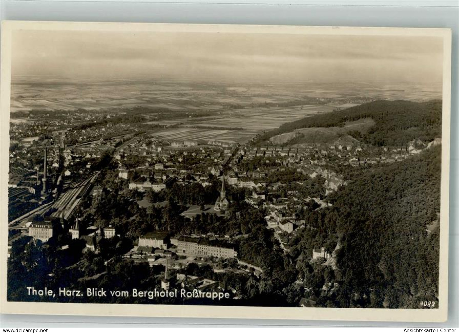 38013964 - Thale