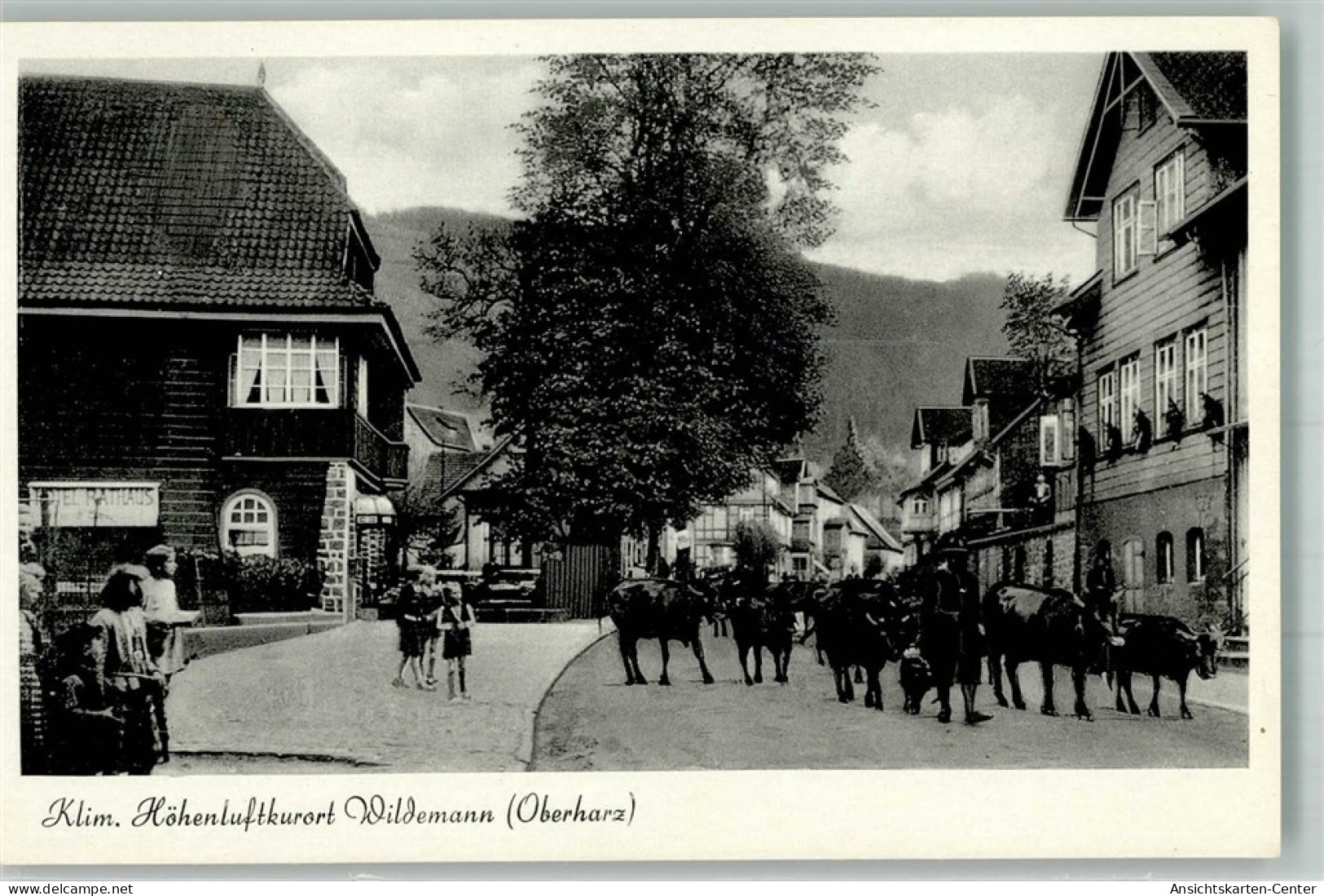 38015396 - Wildemann