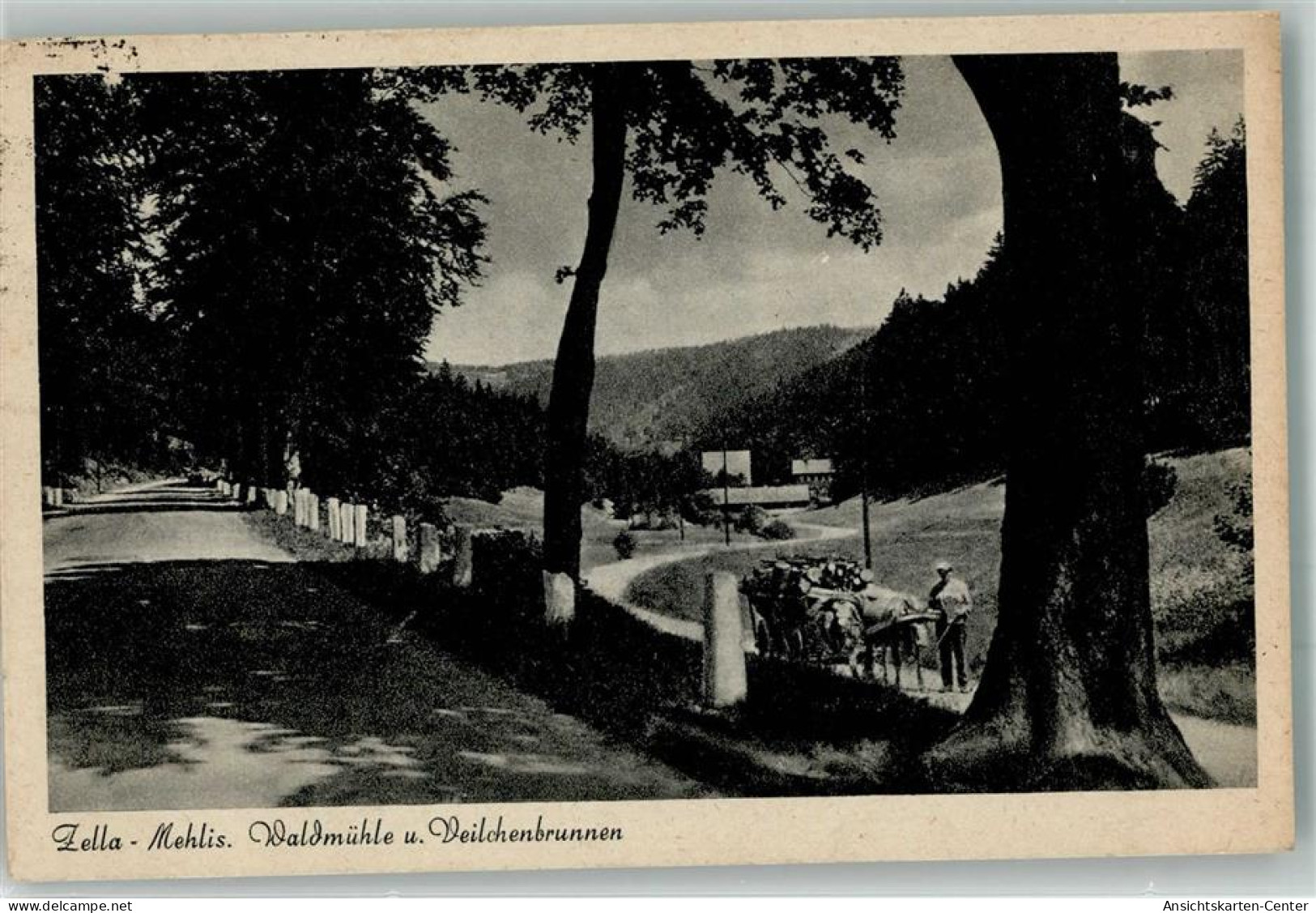 38016816 - Zella-Mehlis