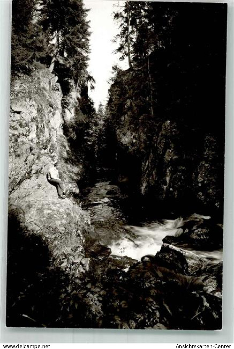 38018570 - Buehlertal